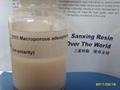 Macroporous adsorption resin