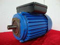 Single phase electric motor 1