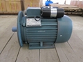 Single phase electric motor 3