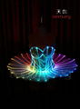 Led Luminous Fiber Optic Ballet Skirt Dress