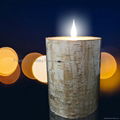 brich bark LED candle,flameless candle with bark