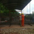 sonic logging pipe for bore pile 1