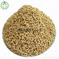 lysine feed additives 1