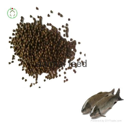 fish feed animal feed