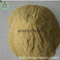 yeast animal fodder 1