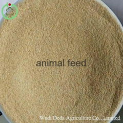 Choline chloride feed additives