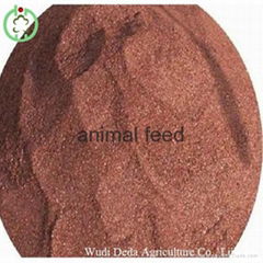 blood meal animal feed