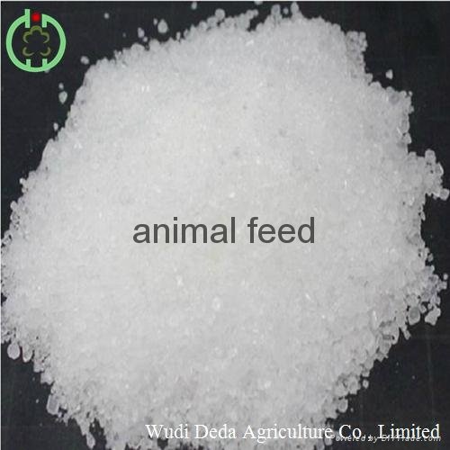 dcp feed additives