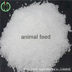 dcp feed additives