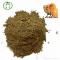 Fish meal animal feed high protein 1