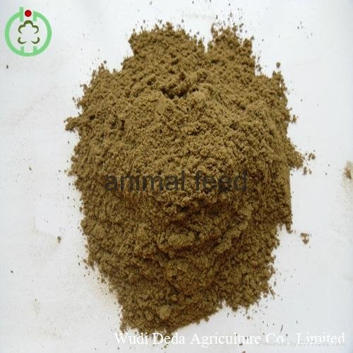 Fish meal animal feed high protein 2