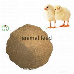 meat bone meal animal feed