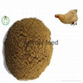 meat bone meal animal feed 3