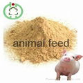 lysine feed additives