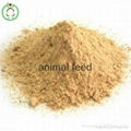 lysine feed additives 2