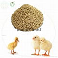 lysine feed additives 4