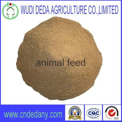 meat bone meal high quality