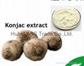 Purified Konjac Powder