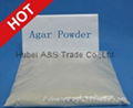 Agar Agar Pwder 1