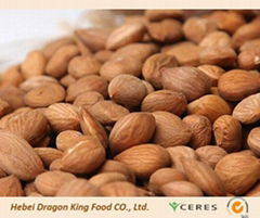 Raw Sweet Apriot Kernels from China