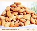 Raw Sweet Apriot Kernels from China 2