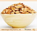 Raw Sweet Apriot Kernels from China 3