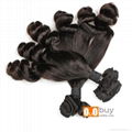 Grade 9A 8-18 Inches Wholesale Brazilian Aunty Funmi Hair 3