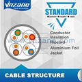 Cat6A FTP Cable  2