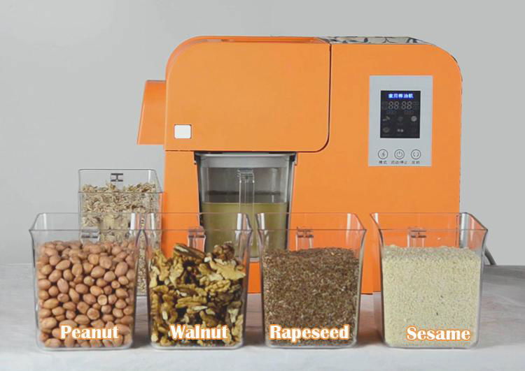 hot Selling sesame peanut rapeseed walnut  automatic home oil press 4