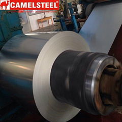 Galvanized Steel Coil