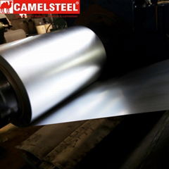 pre-painted galvanized steel coil