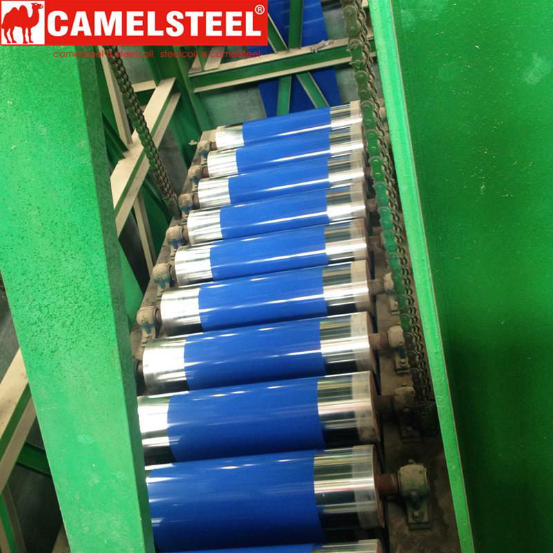 pre-painted galvanized steel coil 5