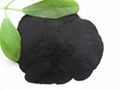 Water Soluble Humic Acid Potassium