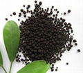 Higher Water soluble organic fertilizer black humic acid fulvic acid potassium 1