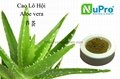 Aloe vera extract 1