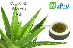 Aloe vera extract