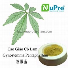 Gynostemma pentaphyllum extract