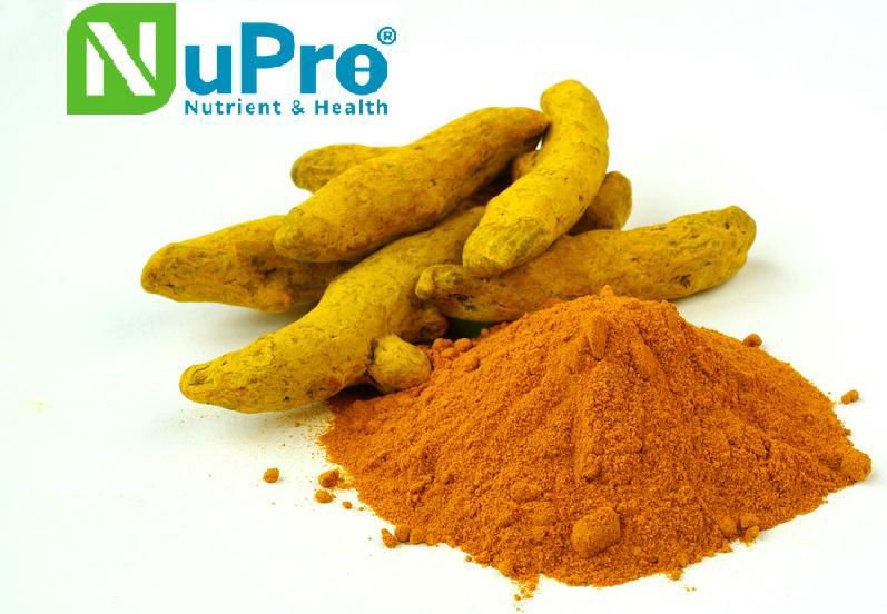 Curcumin