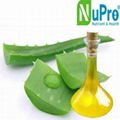 Aloe vera oil 1