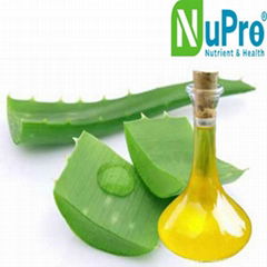 Aloe vera oil