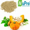Pumpkin seed extract 1