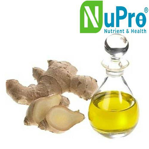 Ginger oil