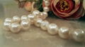 White  circular Freshwater  Pearl necklace  3