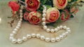 White  circular Freshwater  Pearl necklace  5