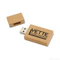 Environmental Wood USB Flash Drive for