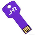 Multi Color Key USB Flash Drive with Custom Logo 4