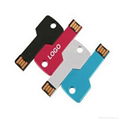 Multi Color Key USB Flash Drive with Custom Logo 5