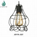 Retro-style Black Iron Cage Shade Indoor