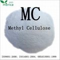 Methyl cellulose  1