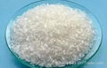 Monosodium Glutamate / MSG 1